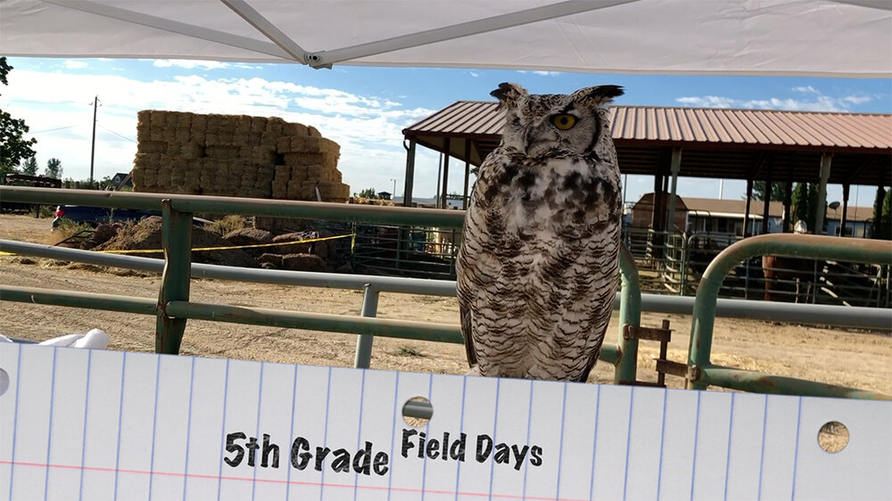 Farming in the Schools, 5th grade Field Day